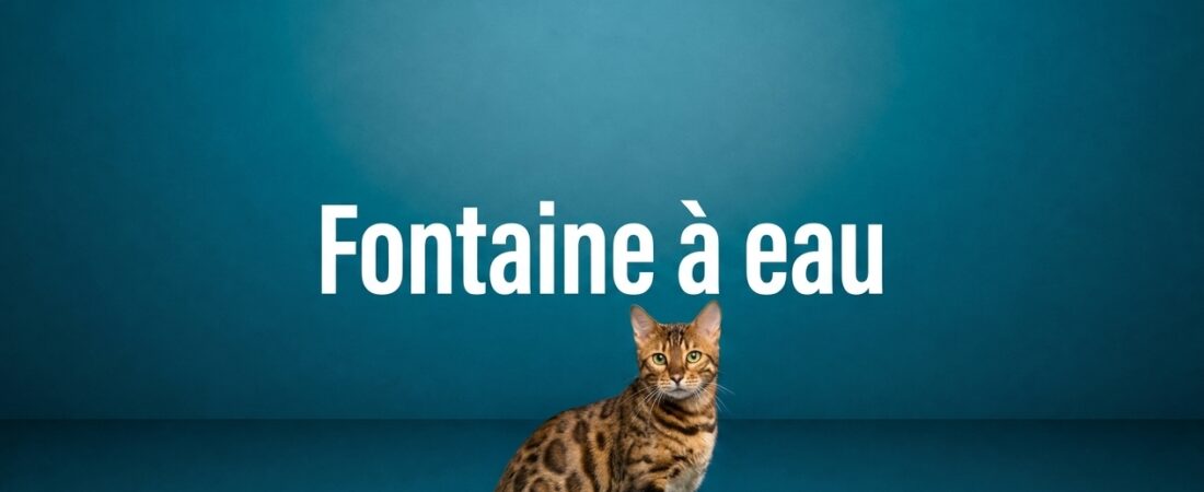 Photo d'un bengal chat — Fontaine à eau